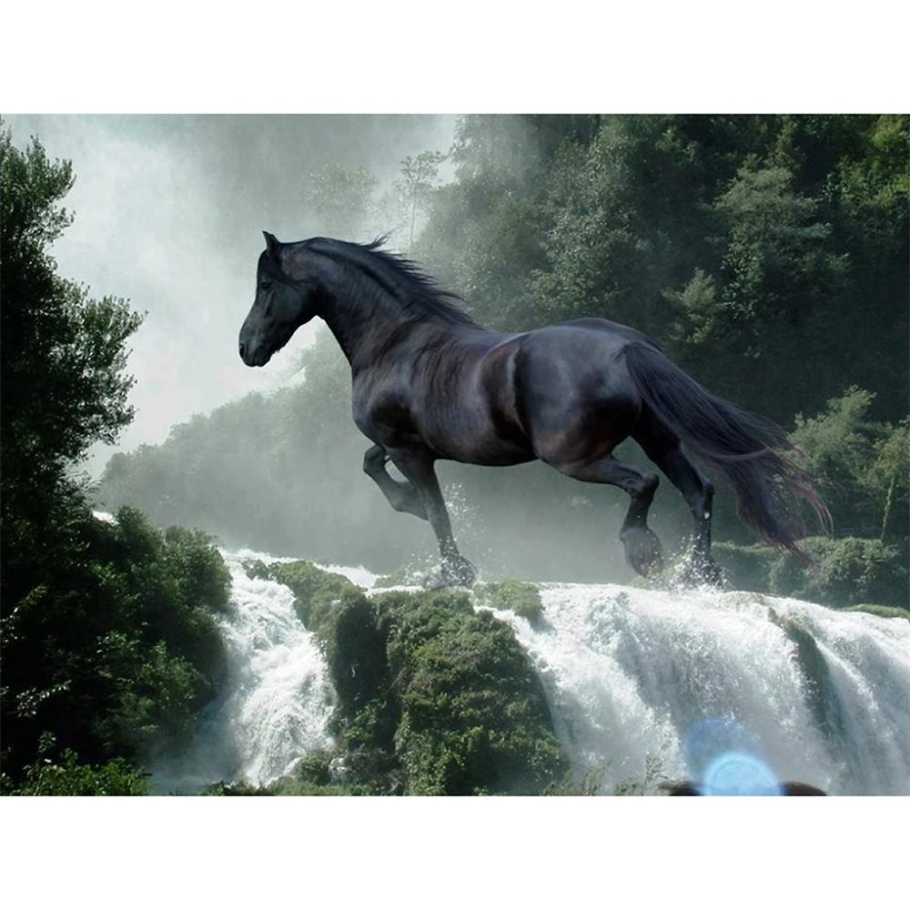 Animal Horse Printed Fabric 11CT Cross-Stitch Kit Embroidery DMC Threads Hobby Painting Knitting Sewing Counted Package
Animal Horse Printed Fabric 11CT Cross-Stitch Kit Embroidery DMC Threads Hobby Painting Knitting Sewing Counted Package