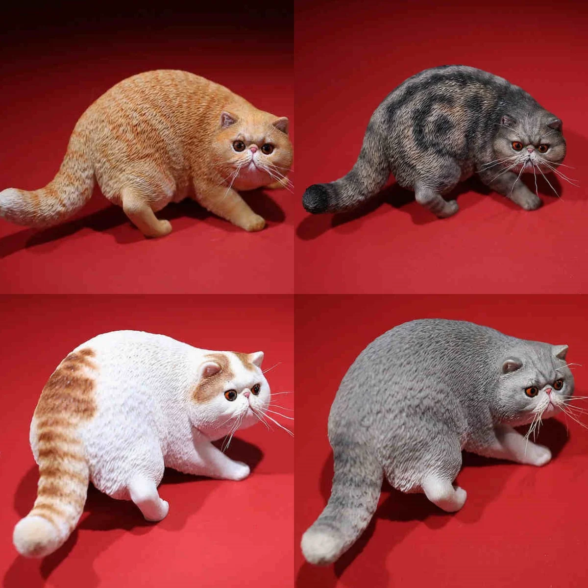 Jxk 1/6 экзотические короткошерсти милый кот домашнее животное модель коллекционные игрушки подарок котенок маленькие аксессуары украшения
Jxk 1/6 экзотические короткошерсти милый кот домашнее животное модель коллекционные игрушки подарок котенок маленькие аксессуары украшения