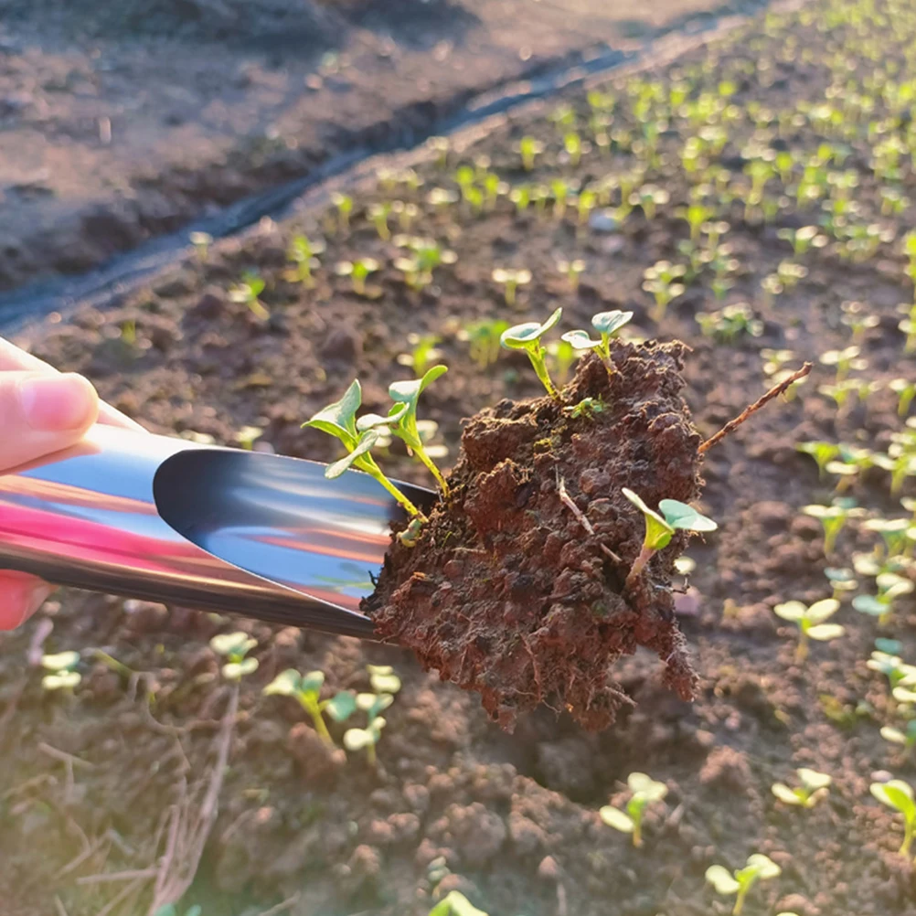 Stainless Steel Garden Soil Scoop Lightweight Portable Handheld Digging Weeding Planting Tool for Bonsai Succulents Potting
Stainless Steel Garden Soil Scoop Lightweight Portable Handheld Digging Weeding Planting Tool for Bonsai Succulents Potting