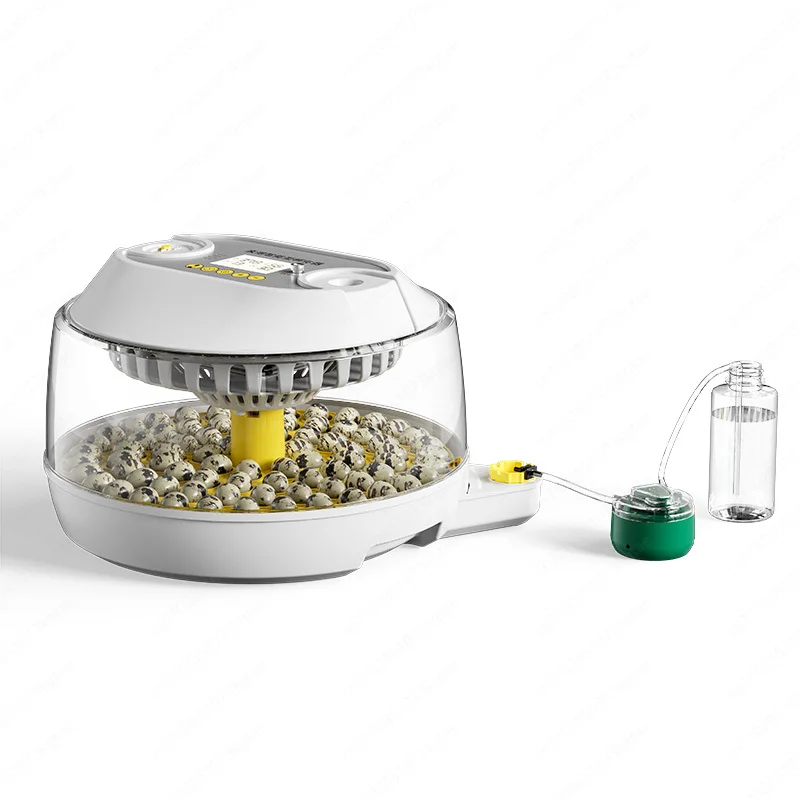 Инкубатор для яиц с попугаем и птицами, небольшой бытовой автоматический интеллектуальный инкубатор
Инкубатор для яиц с попугаем и птицами, небольшой бытовой автоматический интеллектуальный инкубатор