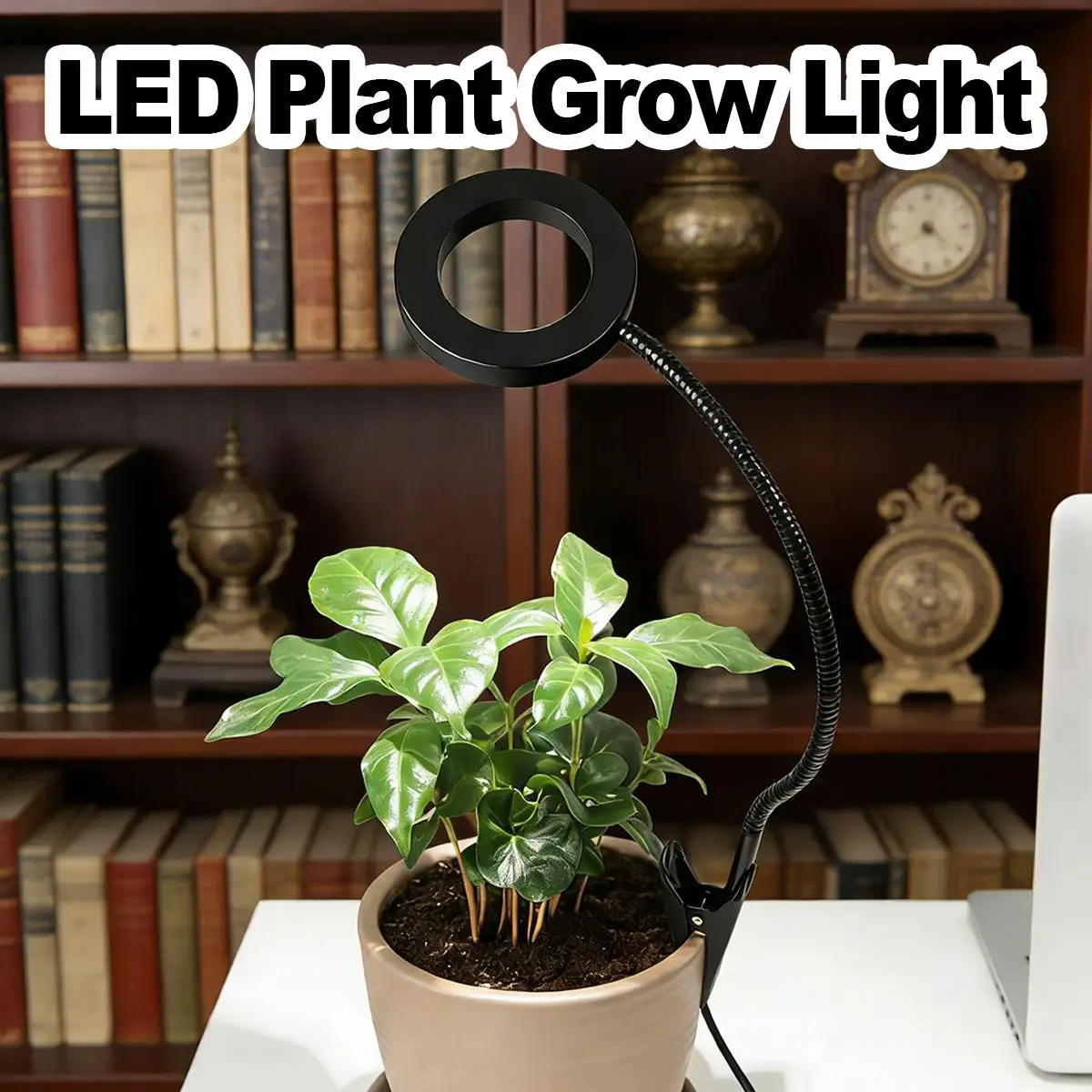 Flexible LED Grow Light Ring Full Spectrum Dimmable USB Timer Phyto Lamp Height Adjustable For Pot Plants Indoor Succulent
Flexible LED Grow Light Ring Full Spectrum Dimmable USB Timer Phyto Lamp Height Adjustable For Pot Plants Indoor Succulent