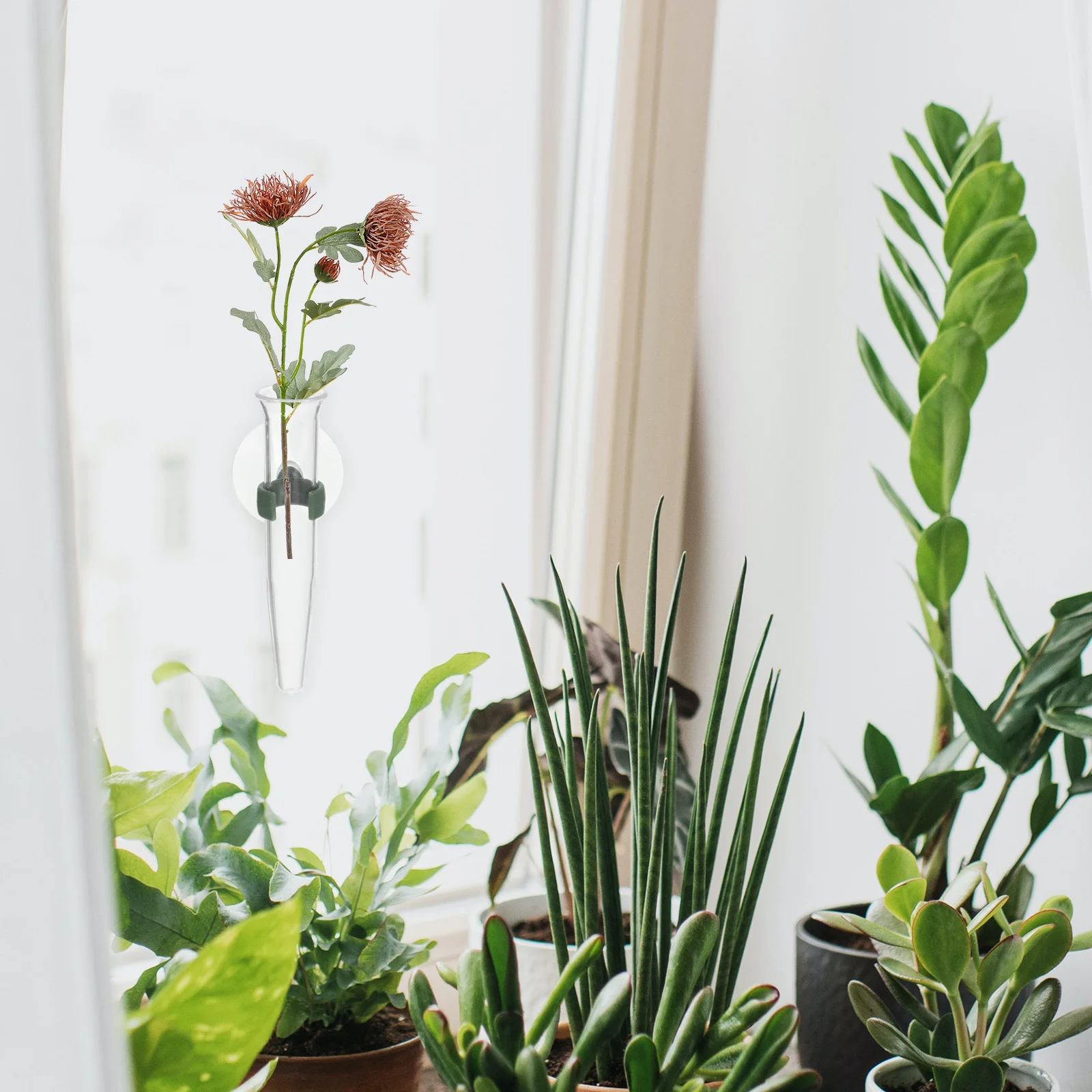 8Pcs Floral Water Tubes with Suction Cup Plastic Flower Nutrition Vials for Bouquet Arranging and Long Term Freshness
8Pcs Floral Water Tubes with Suction Cup Plastic Flower Nutrition Vials for Bouquet Arranging and Long Term Freshness