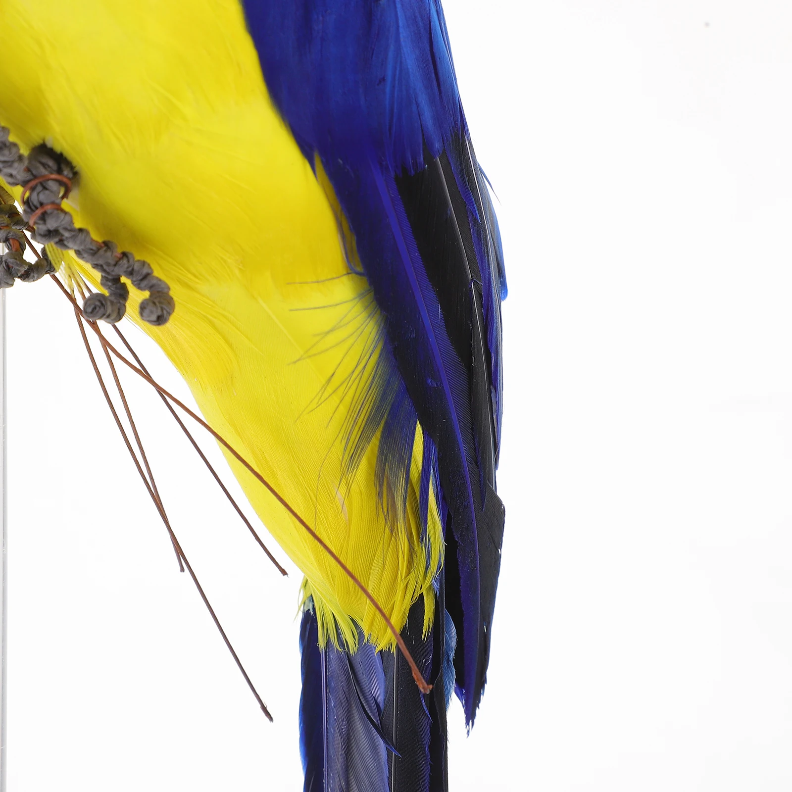 Simulation Parrot Decoration Statue Ornaments Decorate Foam Vivid Fake Figurines Home Artificial Parrots
Simulation Parrot Decoration Statue Ornaments Decorate Foam Vivid Fake Figurines Home Artificial Parrots