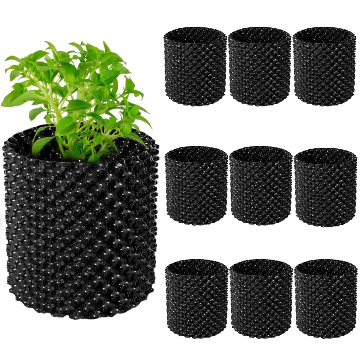 10pcs Air Pruning Plant Pots 2.5 Gallon Black Plastic Nursery Containers For Vegetables Fruits Garden
10pcs Air Pruning Plant Pots 2.5 Gallon Black Plastic Nursery Containers For Vegetables Fruits Garden