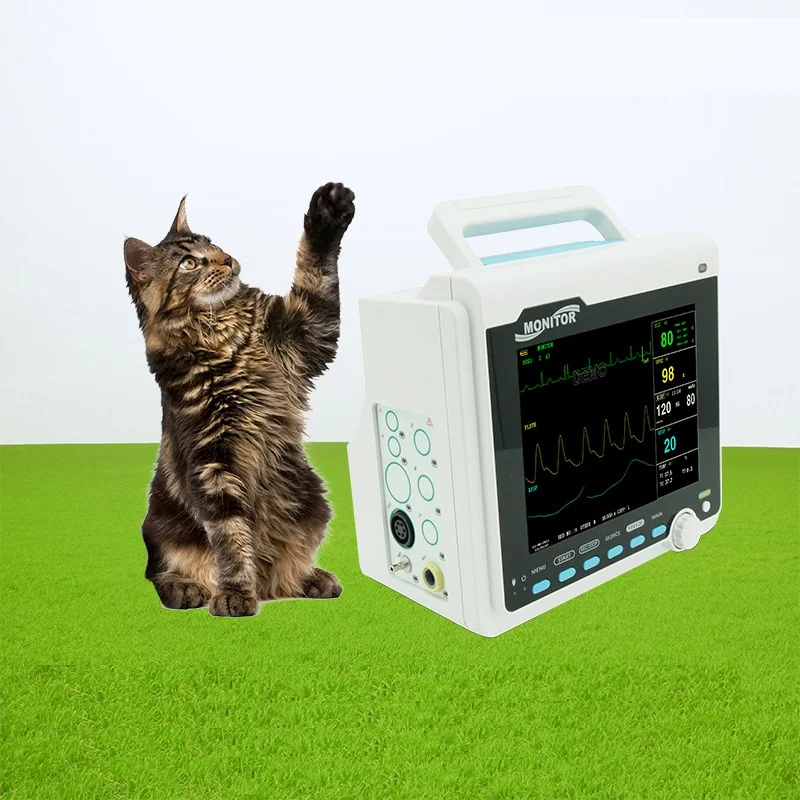 8 "TFT цветной ЖК портативный ветеринарный животных животные кошки и собаки кровяное давление Пульс
8 "TFT цветной ЖК портативный ветеринарный животных животные кошки и собаки кровяное давление Пульс