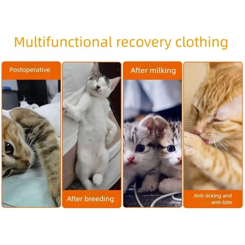 R9UF Cats Recovery Suit Post Surgeries for Effective Healing for Post Surgeries
R9UF Cats Recovery Suit Post Surgeries for Effective Healing for Post Surgeries