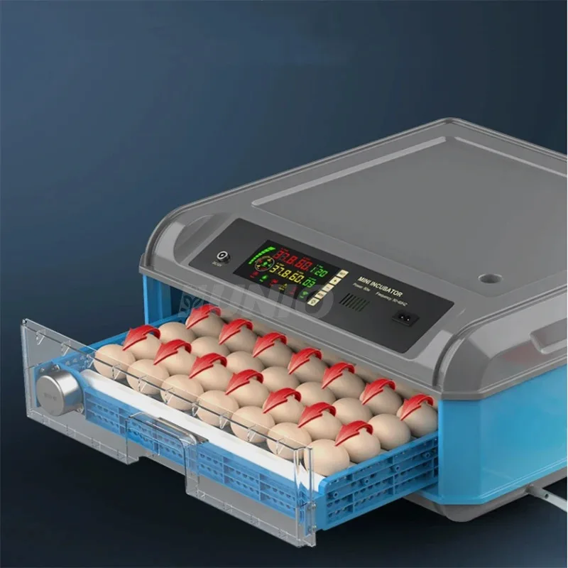 Customized Pheasant Couveuse Oeuf Automatique 48 Egg Incubator Automatic
Customized Pheasant Couveuse Oeuf Automatique 48 Egg Incubator Automatic