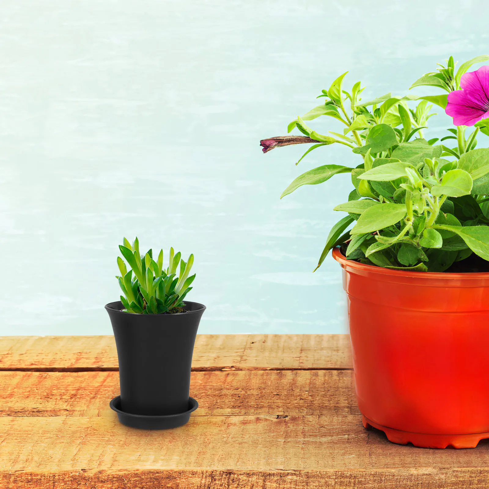 10pcs Mini Flower Pots with Drainage for Succulents Plant Growing Container Black Color Garden Pots Plastic
10pcs Mini Flower Pots with Drainage for Succulents Plant Growing Container Black Color Garden Pots Plastic