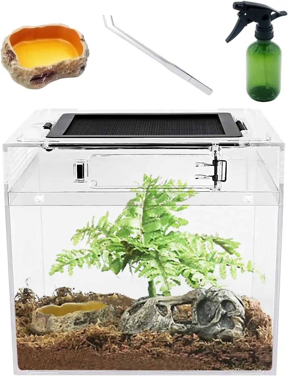 Mini Reptile Terrarium 8x8x7in, Starter Kit with Accessories for Small Pets
Mini Reptile Terrarium 8x8x7in, Starter Kit with Accessories for Small Pets