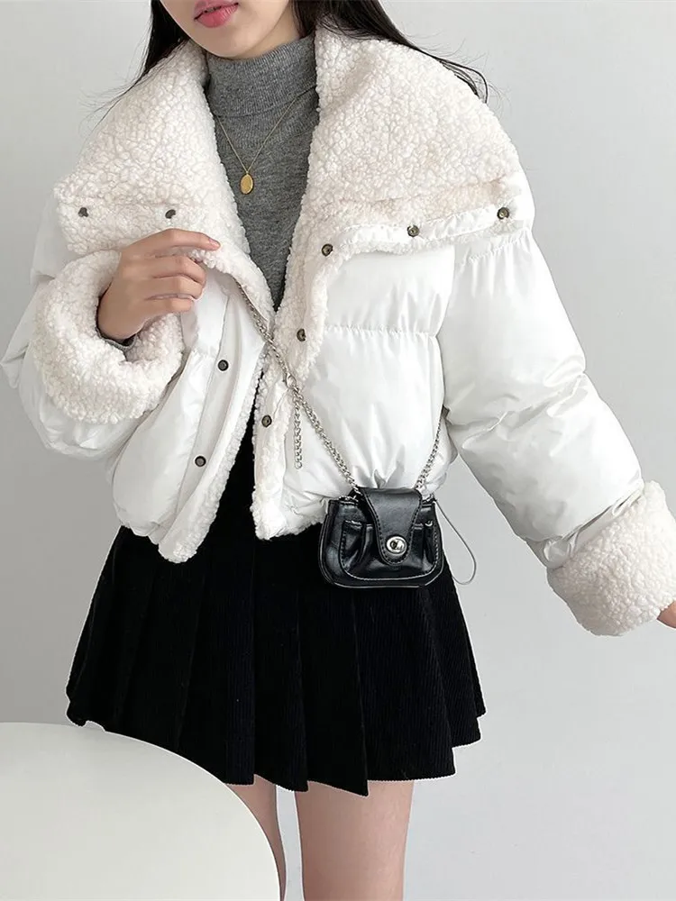 Plush Lamb Warm Jacket for Women Fashion Patchwork Double Sided Wear Crop Coats Y2K Streetwear Loose Lapel Solid Outwear New
Plush Lamb Warm Jacket for Women Fashion Patchwork Double Sided Wear Crop Coats Y2K Streetwear Loose Lapel Solid Outwear New