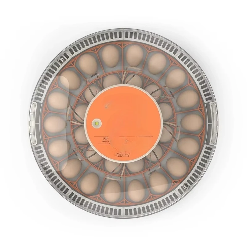 30H Automatic High Quality Mini 30 Chicken EggS Incubator Egg Hatching Machine White
30H Automatic High Quality Mini 30 Chicken EggS Incubator Egg Hatching Machine White