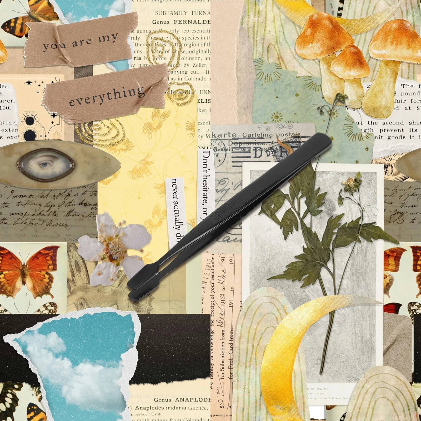 4pcs Stamp Tweezers Black Stainless Steel Straight Tip For Delicate Paper Handling Precision Philately Tools Collecting Sorting
4pcs Stamp Tweezers Black Stainless Steel Straight Tip For Delicate Paper Handling Precision Philately Tools Collecting Sorting