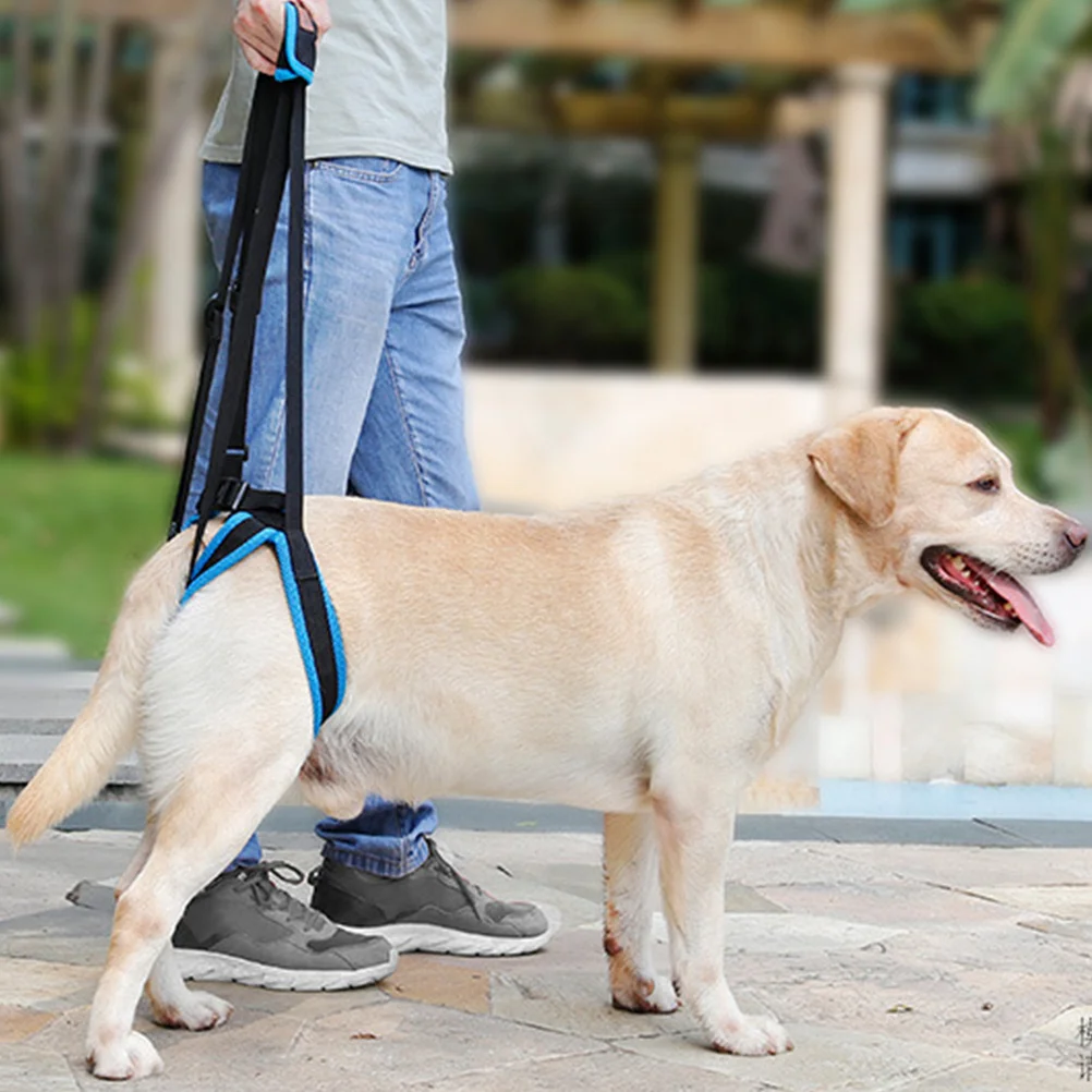 Dog Belt Blue Size L Lightweight Breathable Mesh Support For Leg Weakness Elderly Disabled Dogs Pet 
Dog Belt Blue Size L Lightweight Breathable Mesh Support For Leg Weakness Elderly Disabled Dogs Pet