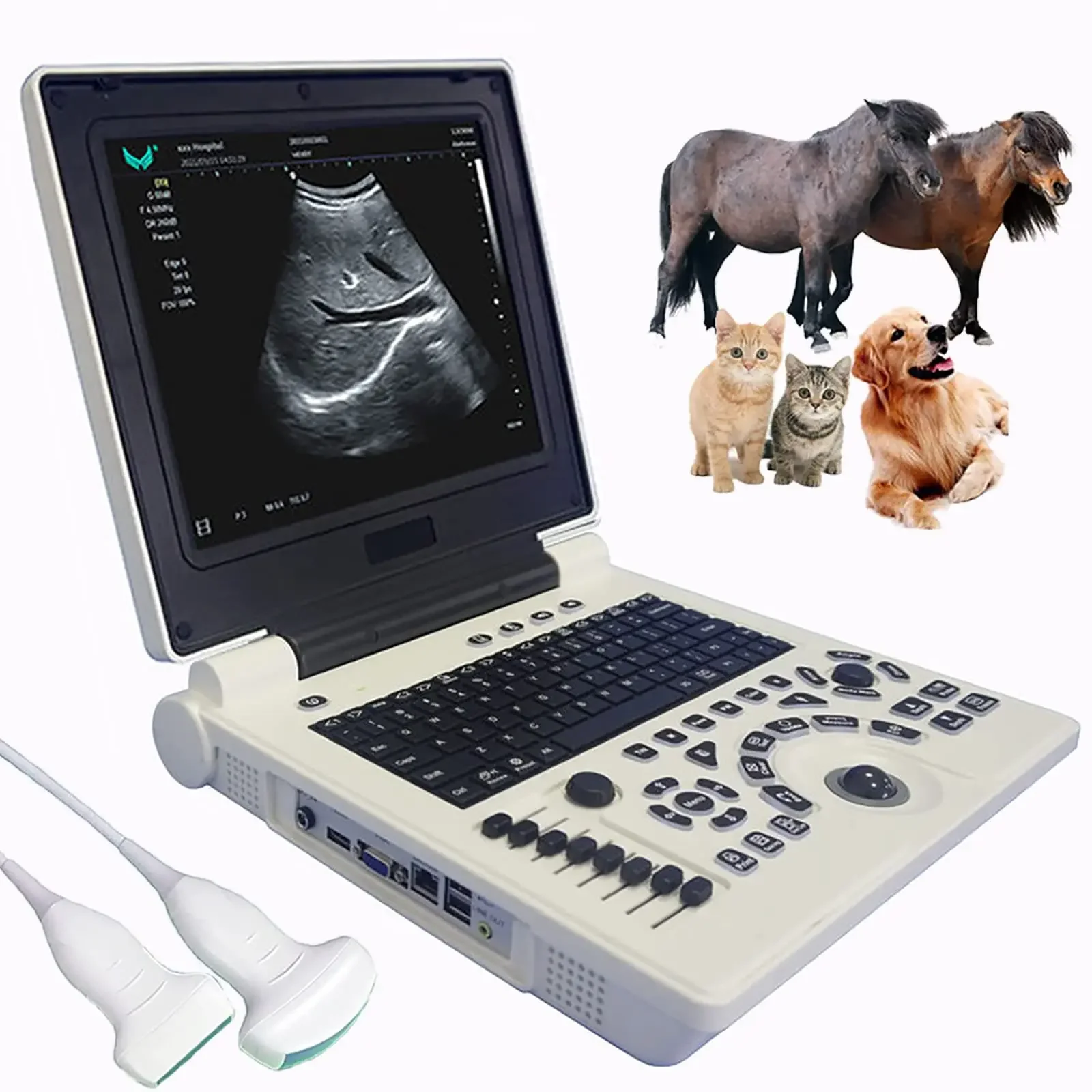 Ultrasound Scanner Veterinary Machine Laptop 12 Inch Portable Black White Doppler Farm Animals Pregnancy Convex Probes, with USB
Ultrasound Scanner Veterinary Machine Laptop 12 Inch Portable Black White Doppler Farm Animals Pregnancy Convex Probes, with USB
