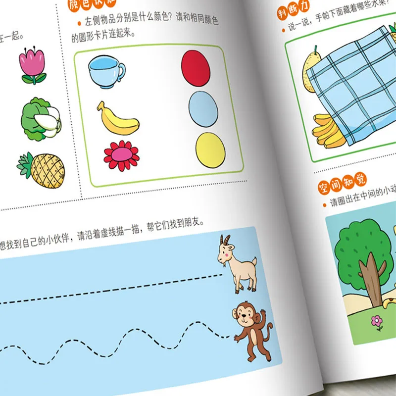 1600 Kids Focus Training Book, 2-6 Year Kindergarten Early Education & Logical Thinking Book
1600 Kids Focus Training Book, 2-6 Year Kindergarten Early Education & Logical Thinking Book