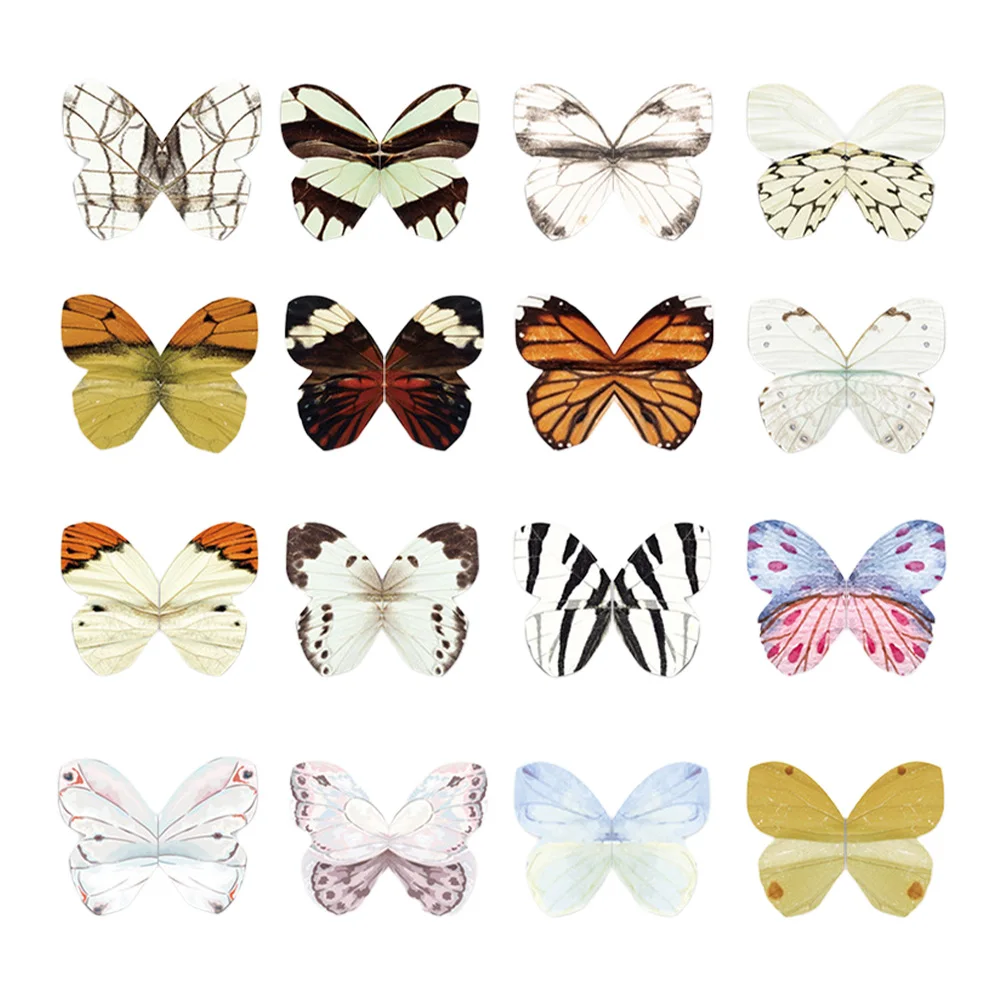 16Pcs Butterflies Shaped Magnetic Bookmarkerers Folders Reading Magnetic Bookmarkerers Book Labels Magnetic Magnetic
16Pcs Butterflies Shaped Magnetic Bookmarkerers Folders Reading Magnetic Bookmarkerers Book Labels Magnetic Magnetic