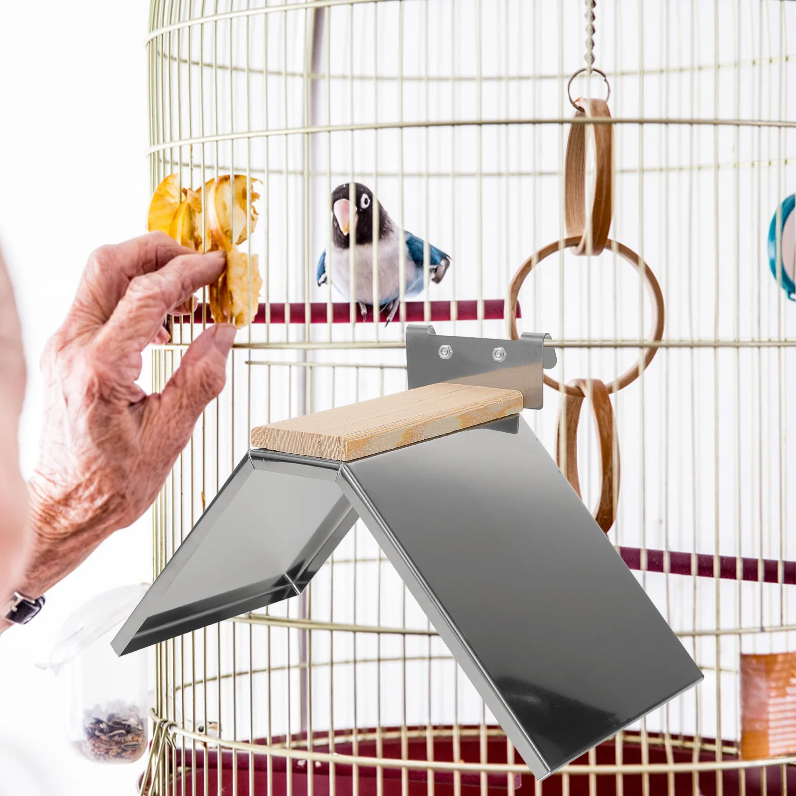 2pcs Stainless Pigeon Perches Thickened Dove Rest St Parrot Training Rack Bird Cage Accessory Bird Cage Accessory Toy 
2pcs Stainless Pigeon Perches Thickened Dove Rest St Parrot Training Rack Bird Cage Accessory Bird Cage Accessory Toy