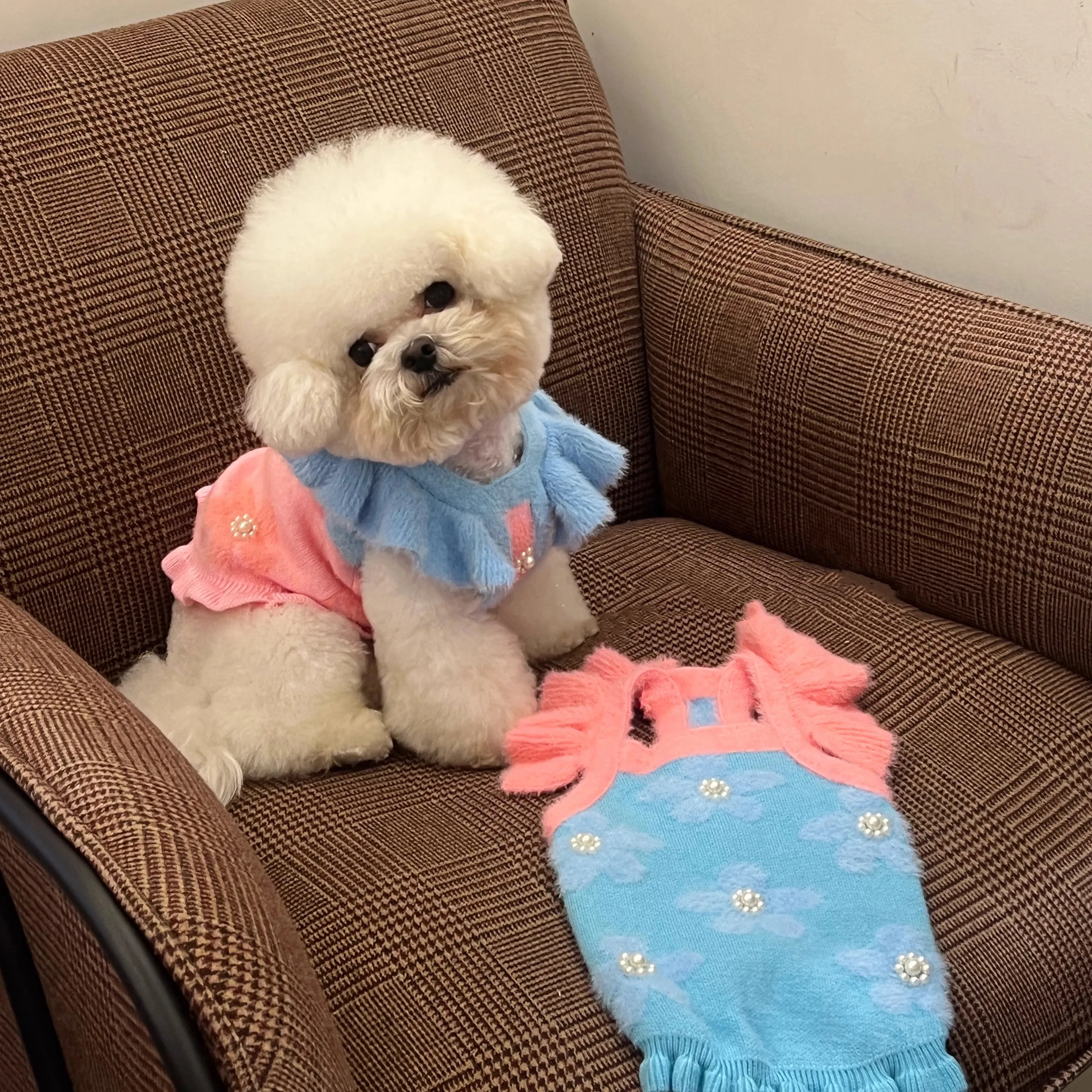 High-End Custom Pearl Flower Design Plush Comfortable Soft Winter Pet Knitted Skirt Pink And Blue Puppy Dog Dress
High-End Custom Pearl Flower Design Plush Comfortable Soft Winter Pet Knitted Skirt Pink And Blue Puppy Dog Dress