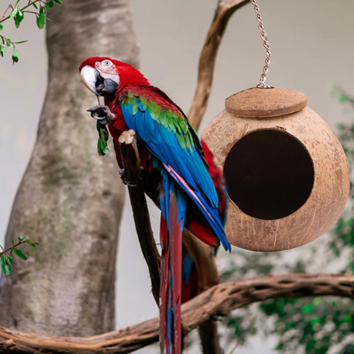 2pcs Coconut Shell Bird Nest Natural Cave for Parakeets Small Pets Hanging Cage House Safe Environment
2pcs Coconut Shell Bird Nest Natural Cave for Parakeets Small Pets Hanging Cage House Safe Environment