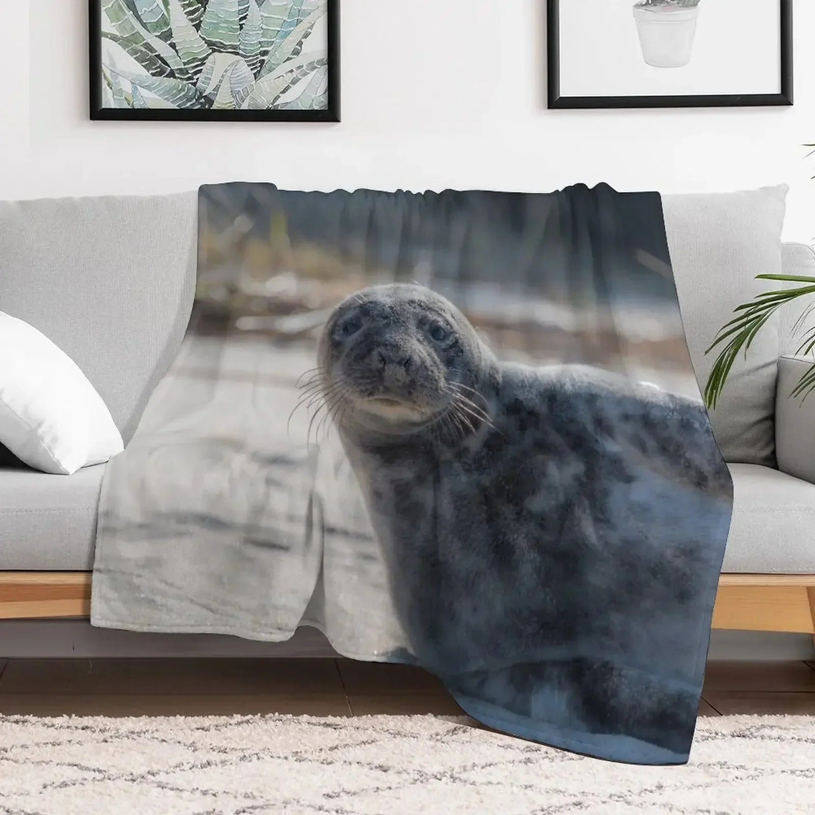 Sweet Baby Seal on a Beach Looking At You with Big Eyes Throw Blanket funny gift Decorative Sofa Blankets
Sweet Baby Seal on a Beach Looking At You with Big Eyes Throw Blanket funny gift Decorative Sofa Blankets