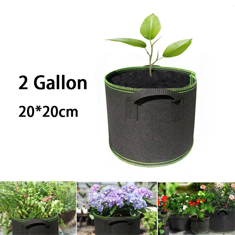2 Gallon Home Garden Hand Held Tree Pots Plant Grow Bags Garden Planting Bags Jardin Growing Bag Fruit Vegetables Planter Bags
2 Gallon Home Garden Hand Held Tree Pots Plant Grow Bags Garden Planting Bags Jardin Growing Bag Fruit Vegetables Planter Bags