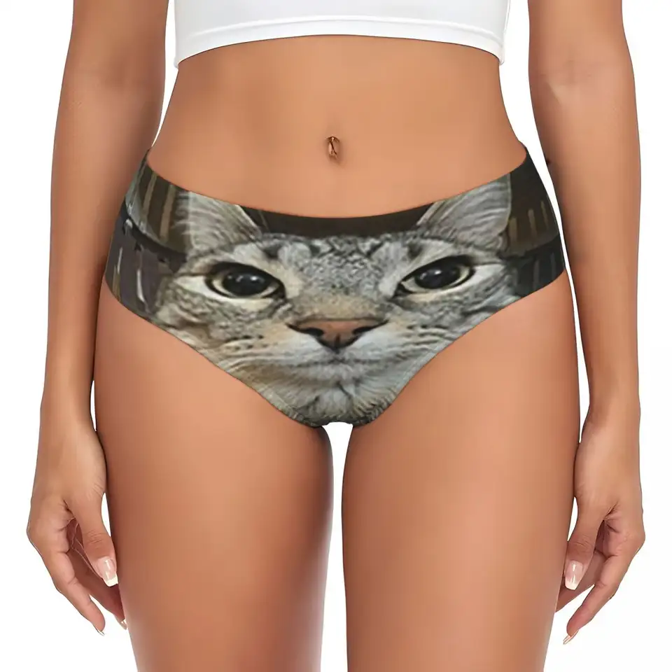 Aangepaste kat ziet er direct naar 