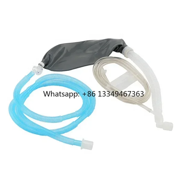 Fast shipping Pet Insensibility Breathing Circuit Pipe Non-multiple Breathing Circuit Pipe Bellowswholesale price
Fast shipping Pet Insensibility Breathing Circuit Pipe Non-multiple Breathing Circuit Pipe Bellowswholesale price