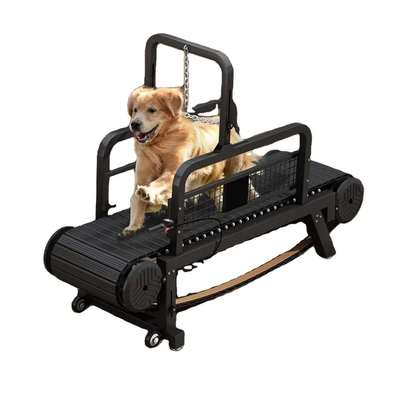 Pure Mechanical Pet Treadmill For Dogs Of All Sizes Household Exercise Wheels No Power Required
Pure Mechanical Pet Treadmill For Dogs Of All Sizes Household Exercise Wheels No Power Required