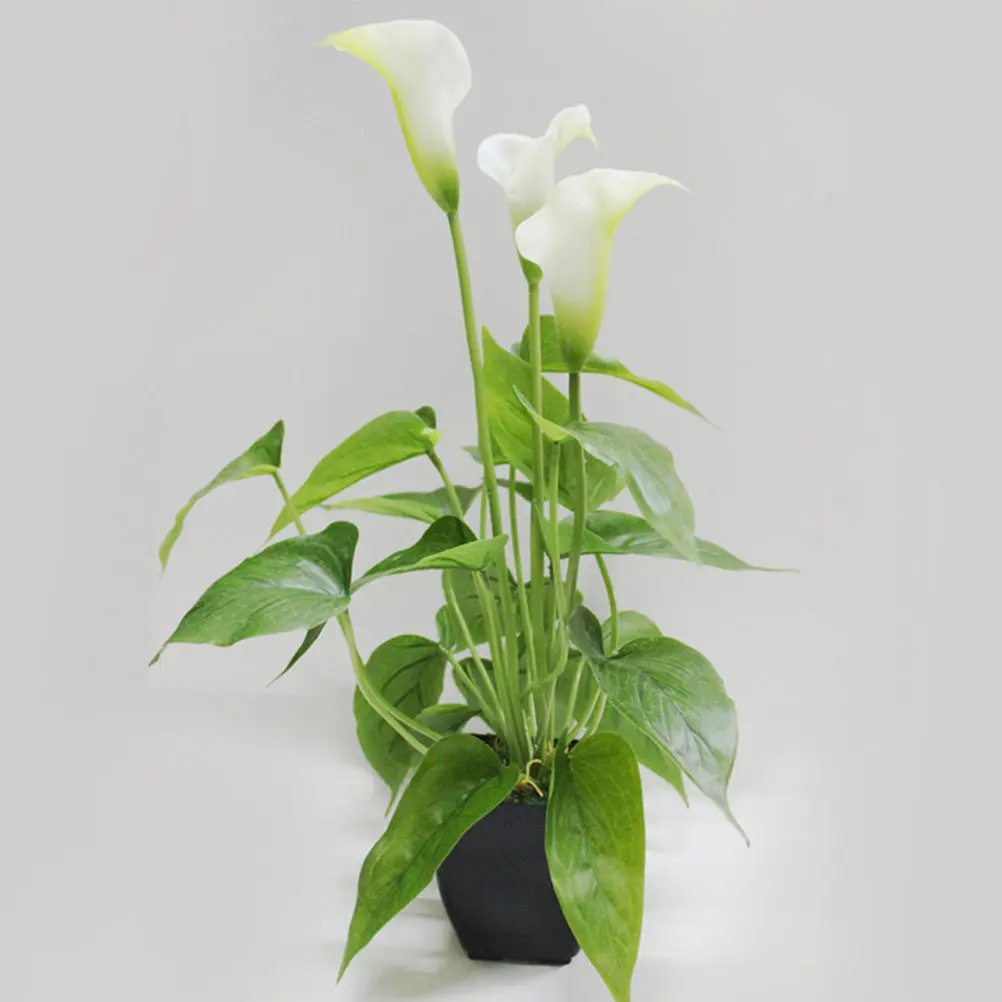 1Pcs Fine Workmanship Artificial Calla Lily Plant Decor Fake Potted Bonsai for Bedroom Study Hallway Window Sill Tabletop
1Pcs Fine Workmanship Artificial Calla Lily Plant Decor Fake Potted Bonsai for Bedroom Study Hallway Window Sill Tabletop