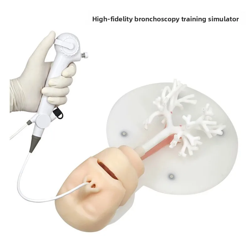 Bronchoscope Training Model, Trachea Model Level 5 Branch, Hard Material
Bronchoscope Training Model, Trachea Model Level 5 Branch, Hard Material