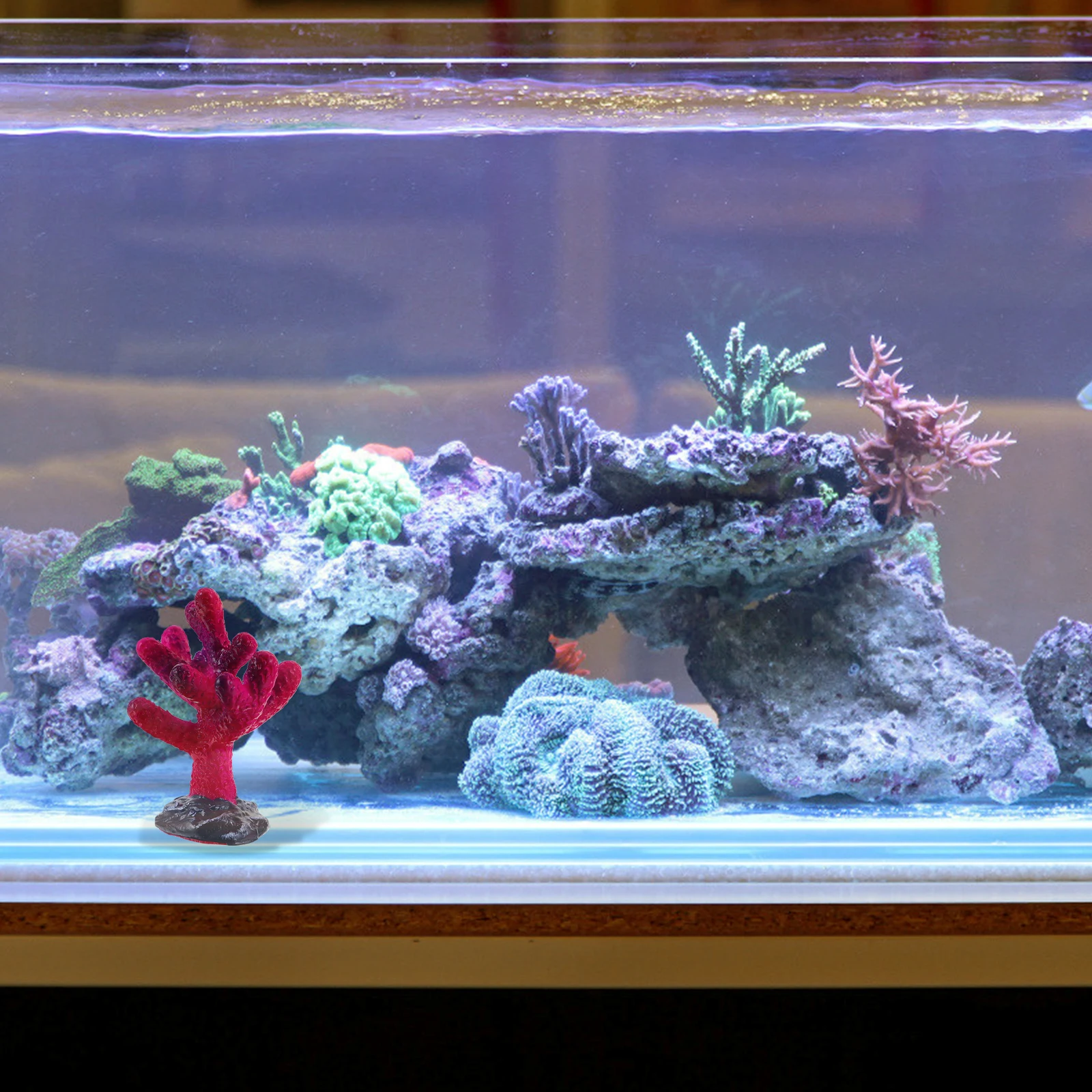 3pcs Resin Coral Decoration for Fish Tank Aquarium Home Decor Pet Supplies Resin Craft Decoration Underwater L scape
3pcs Resin Coral Decoration for Fish Tank Aquarium Home Decor Pet Supplies Resin Craft Decoration Underwater L scape