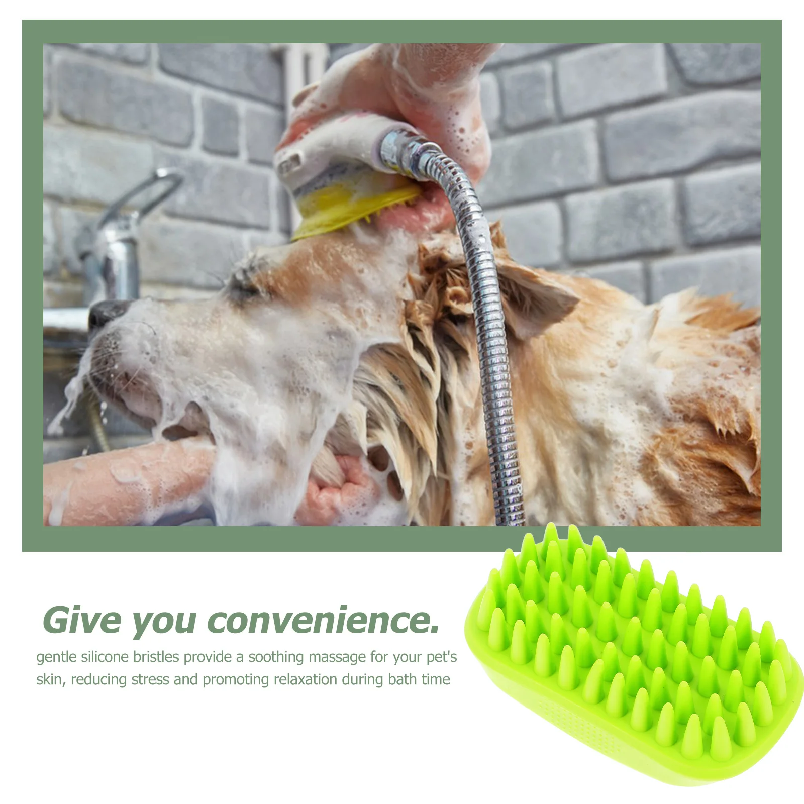 1PC Pet Grooming Brush Silicone Bristles Dog Bath Massage Tool Hair Removal Cat Non Handle Shampoo Cleaning Equipment Fast
1PC Pet Grooming Brush Silicone Bristles Dog Bath Massage Tool Hair Removal Cat Non Handle Shampoo Cleaning Equipment Fast