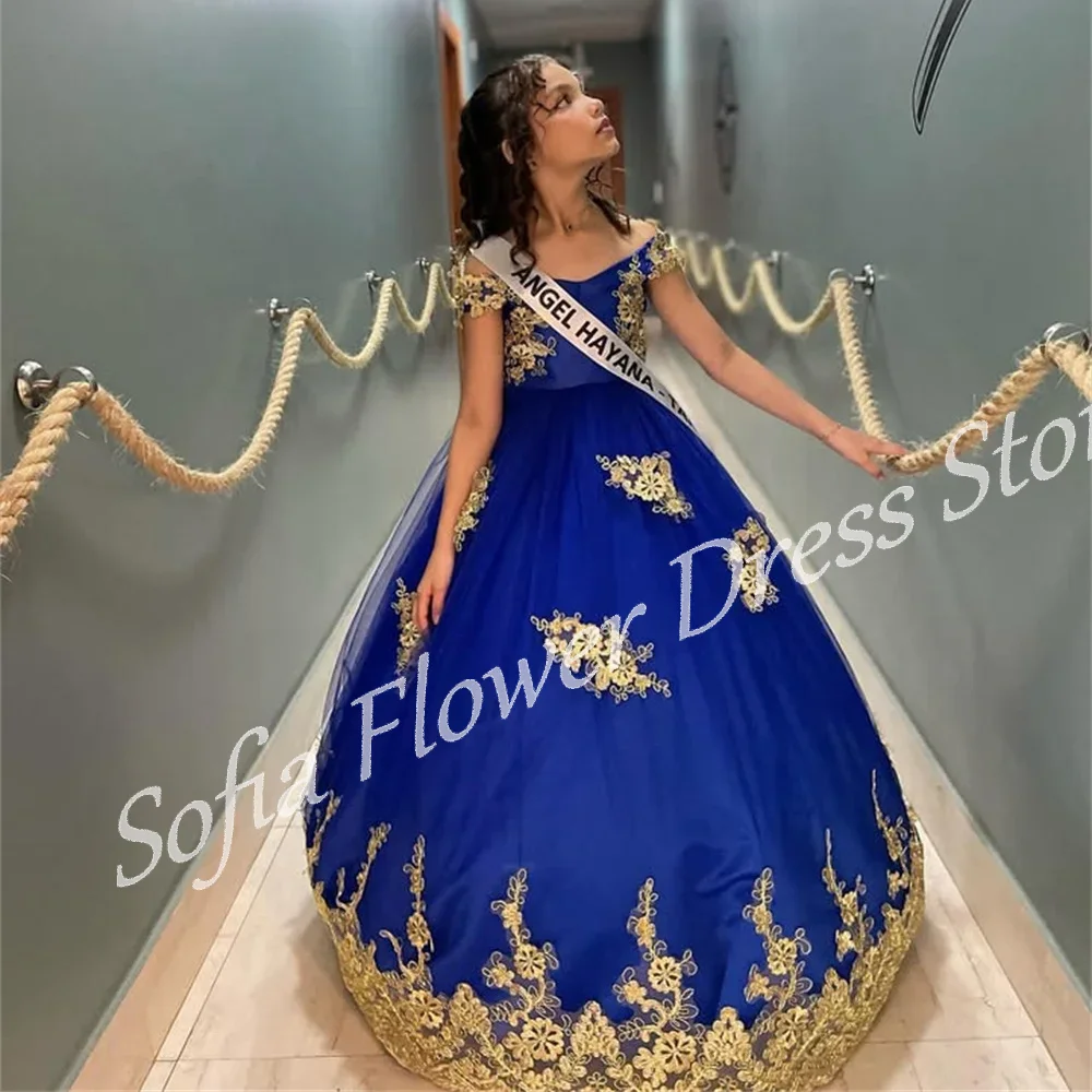 RoyalBlue Flower Girl Dresses For Wedding Off Shoulder Lace Appliques A-Line Shiny Tulle Dresses First Communion Birthday Gowns
RoyalBlue Flower Girl Dresses For Wedding Off Shoulder Lace Appliques A-Line Shiny Tulle Dresses First Communion Birthday Gowns