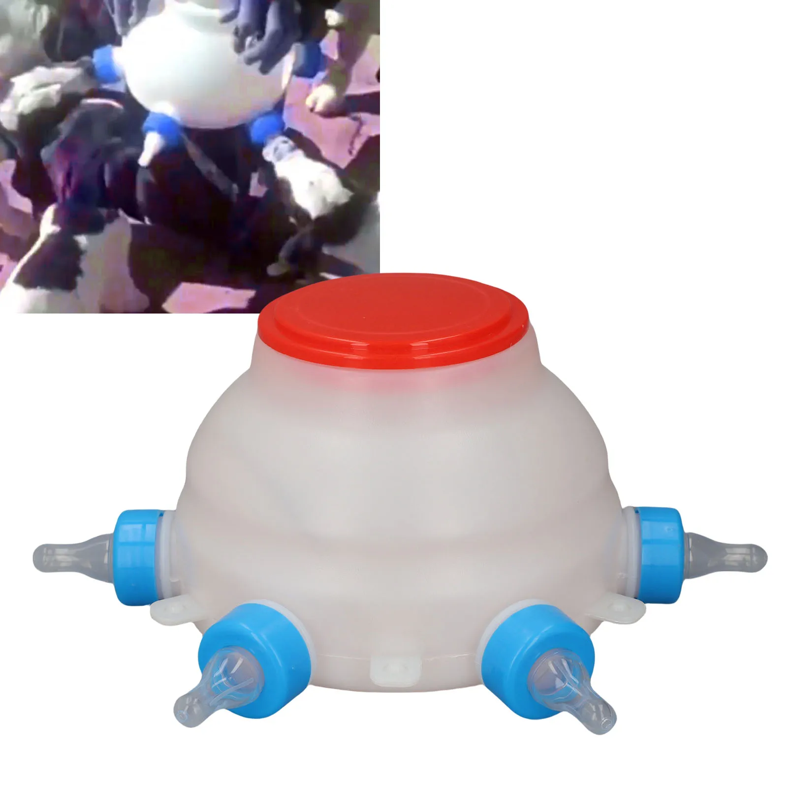 Lamb Feeding Bucket Automatic Animal Milk Feeder Portable Sheep Milk Bottle Nursing Device for Farm Lamb Milk Feed Bucket
Lamb Feeding Bucket Automatic Animal Milk Feeder Portable Sheep Milk Bottle Nursing Device for Farm Lamb Milk Feed Bucket