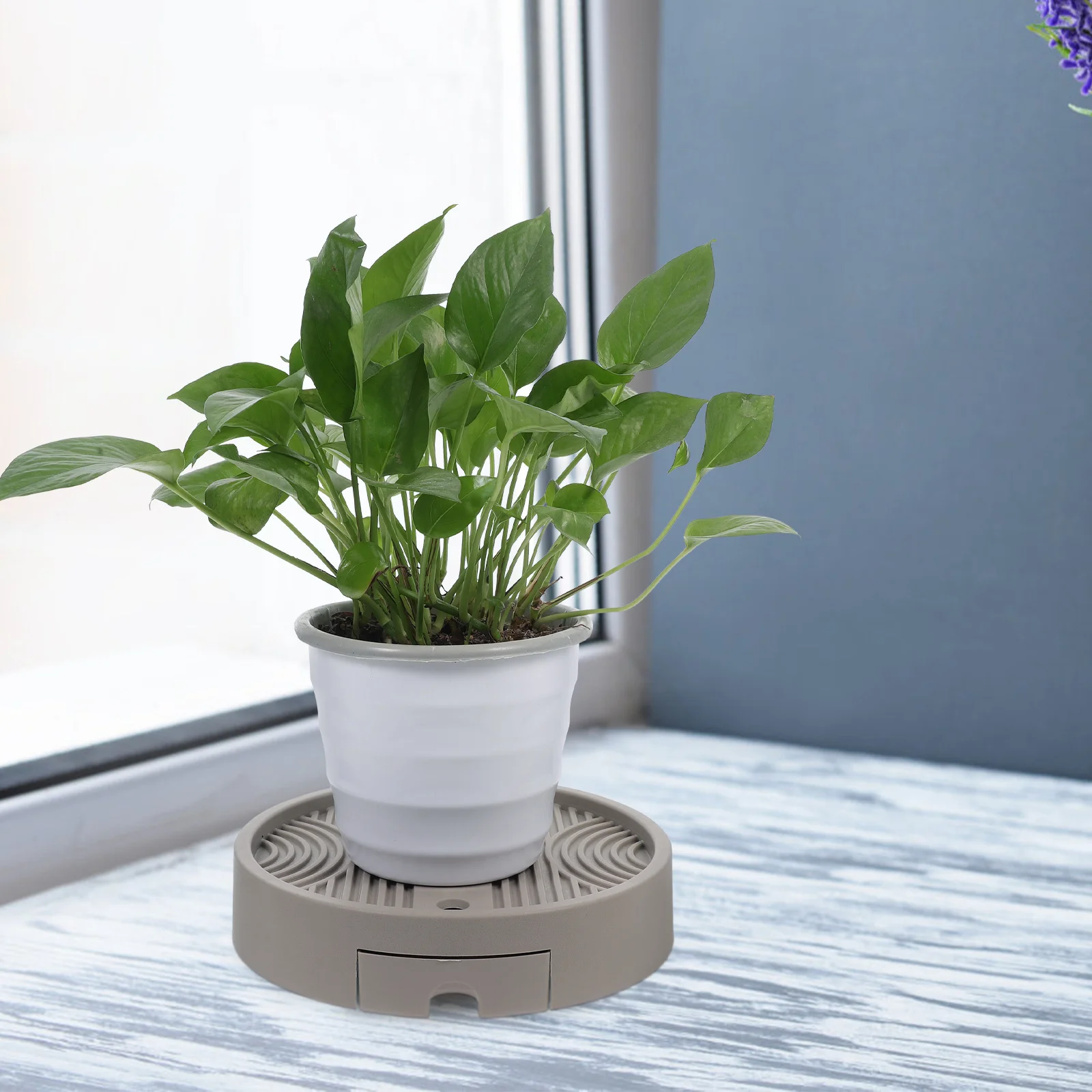 Round Plant Tray Mobile Flower Pot Stand with Rollers Removable Water Drawer Drip Tray for Potted Plants Home Decoration
Round Plant Tray Mobile Flower Pot Stand with Rollers Removable Water Drawer Drip Tray for Potted Plants Home Decoration