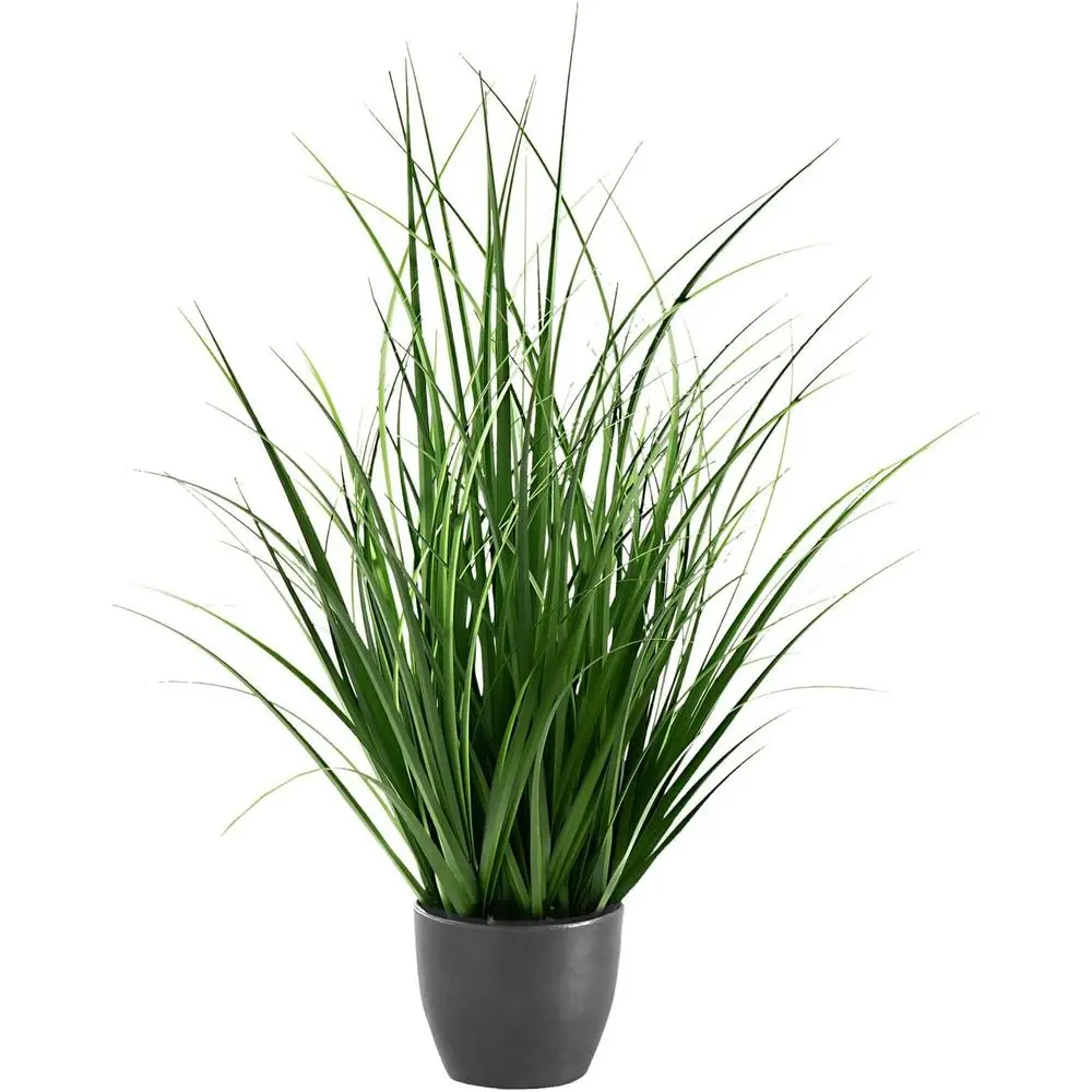 23 Tall Real Touch Artificial Grass Plant, Indoor Greenery, Potted in Black Pot
23 Tall Real Touch Artificial Grass Plant, Indoor Greenery, Potted in Black Pot