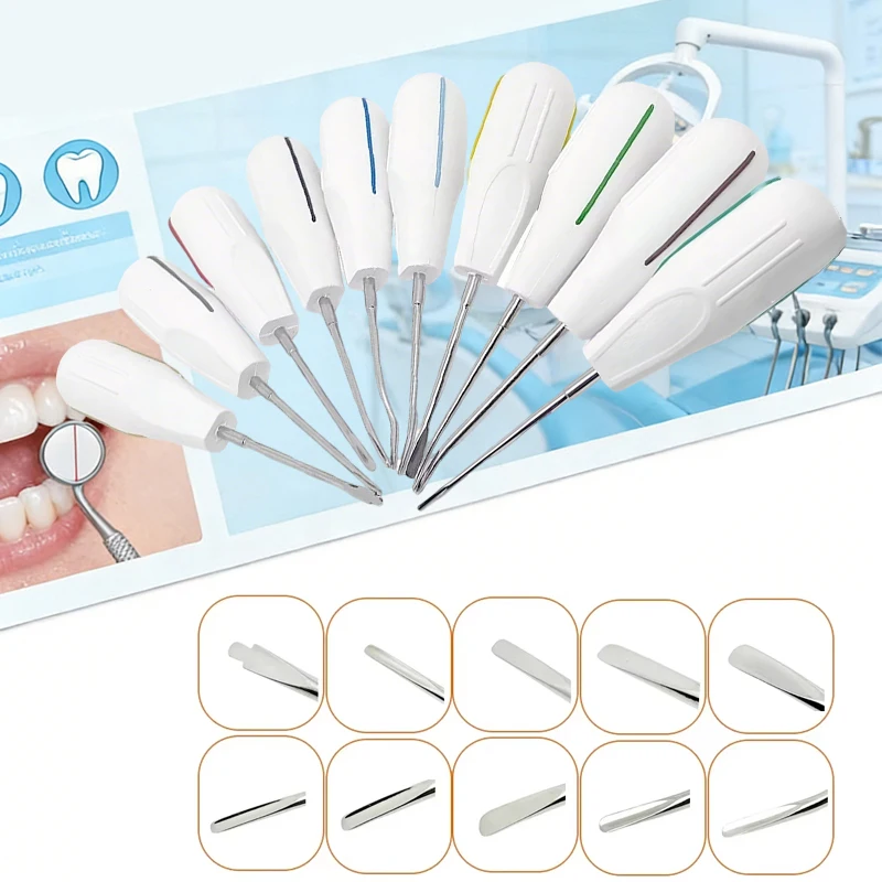 10pcs Dental Root Elevators Tooth Extraction Kit with Plastic Handle Oral Surgery Instruments for Dentist Clinic
10pcs Dental Root Elevators Tooth Extraction Kit with Plastic Handle Oral Surgery Instruments for Dentist Clinic