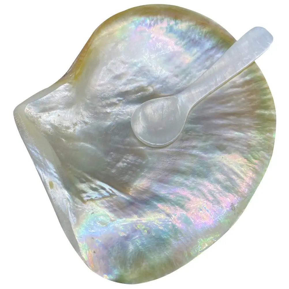 Shell Dining Plate Spoon Set Food Plates Snack Platter Multipurpose Home Kitchen Accessories Premium Material Smooth Safe Easy
Shell Dining Plate Spoon Set Food Plates Snack Platter Multipurpose Home Kitchen Accessories Premium Material Smooth Safe Easy