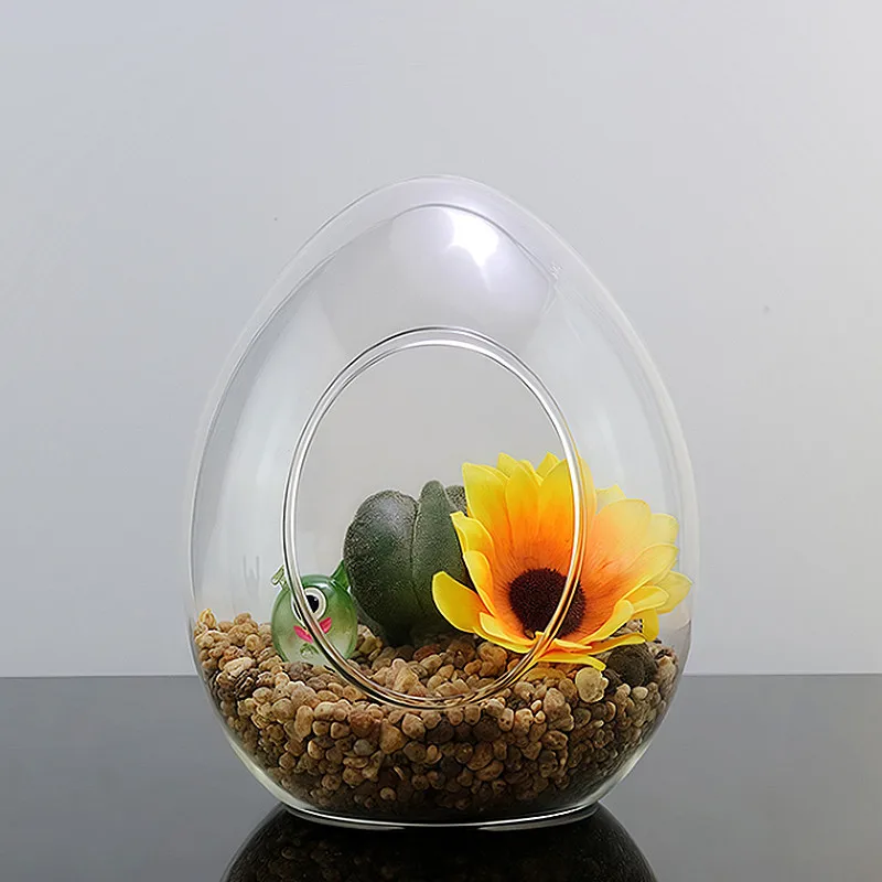 Стеклянная ваза в форме яйца для украшения дома, экологическая бутылка с мхом, сделай сам, ландшафтный дизайн растений, прозрачная мясистая ваза, настольное украшение
Стеклянная ваза в форме яйца для украшения дома, экологическая бутылка с мхом, сделай сам, ландшафтный дизайн растений, прозрачная мясистая ваза, настольное украшение