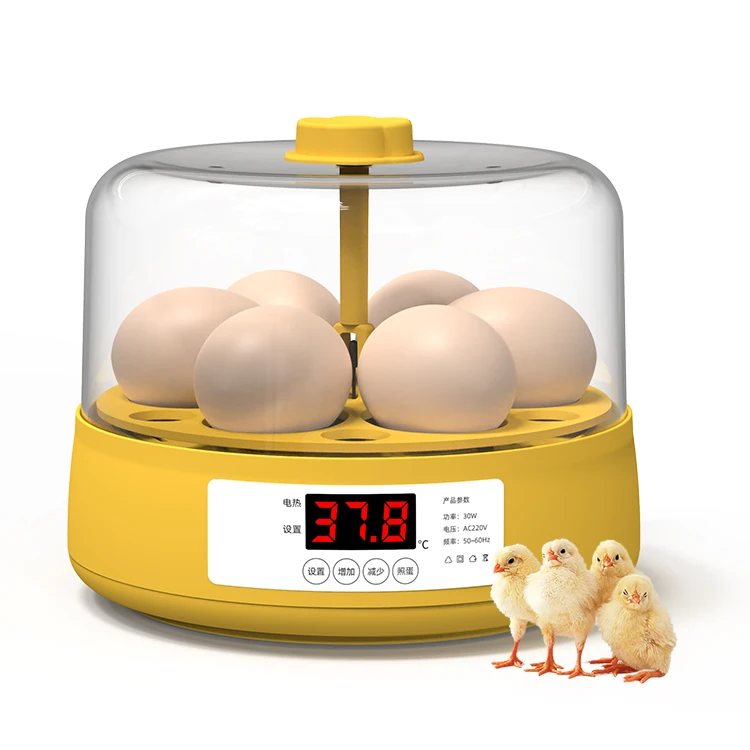 For Dual Power Full Automatic Mini Incubator for Home Use 6 Chicken Egg Incubator
For Dual Power Full Automatic Mini Incubator for Home Use 6 Chicken Egg Incubator