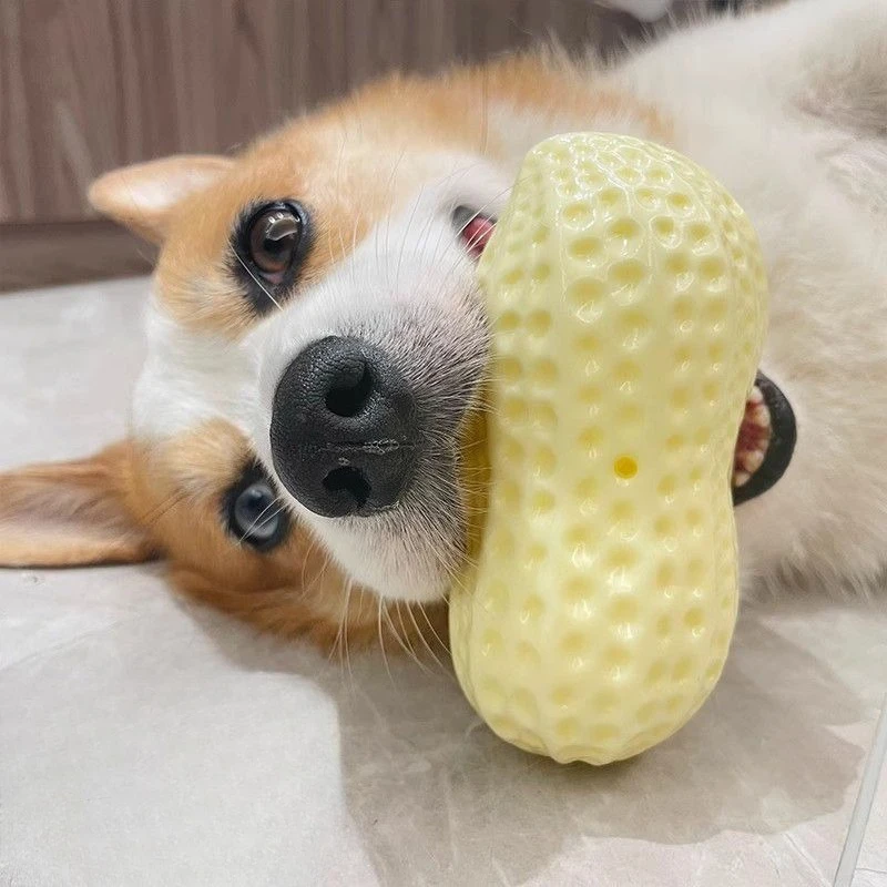 Screaming Rubber Peanut Pet Teasing Squeak Chew Toy Dog Toy Bite Resistant Teeth Grinding Toy for Dogs for Large Dogs Toys
Screaming Rubber Peanut Pet Teasing Squeak Chew Toy Dog Toy Bite Resistant Teeth Grinding Toy for Dogs for Large Dogs Toys