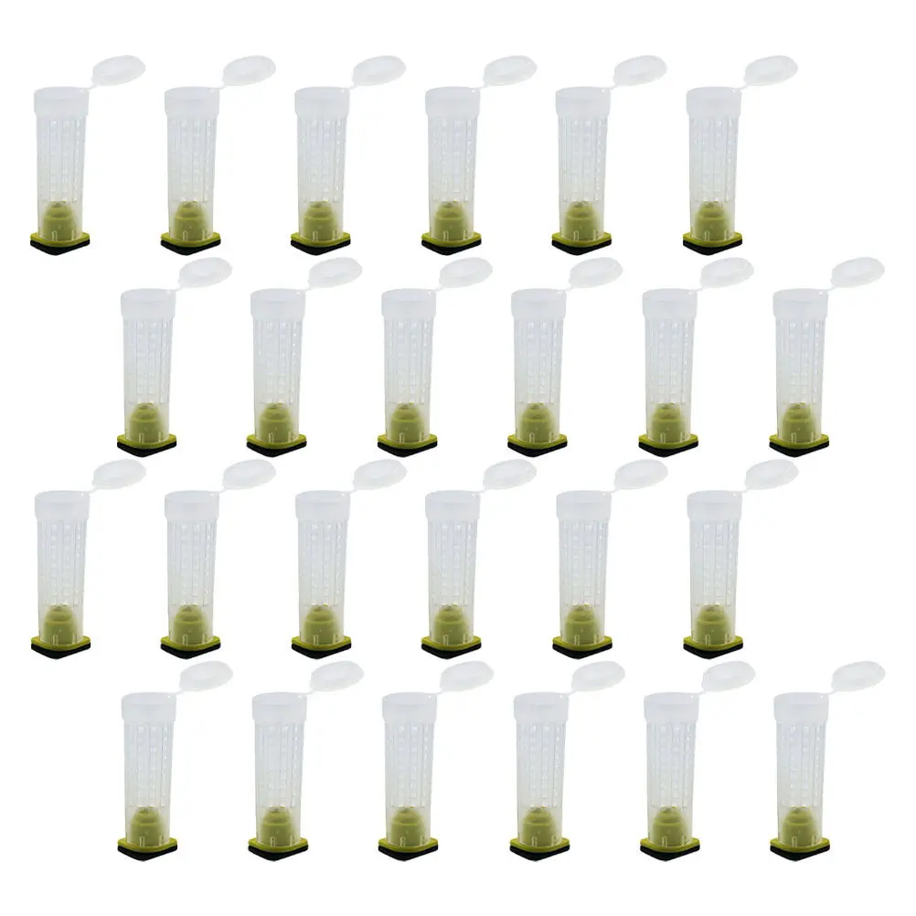 40Pcs Bee Keeper Mesh Protector Bite-Proof Breeding Plastic Cage Ventilated Bee Shield Beekeeping Equipment Plastic Bees Keeper
40Pcs Bee Keeper Mesh Protector Bite-Proof Breeding Plastic Cage Ventilated Bee Shield Beekeeping Equipment Plastic Bees Keeper
