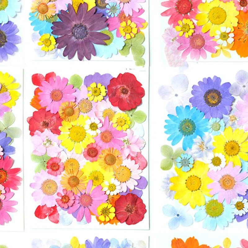 Natural Rose Flower Series Mixed Plant Specimen Resin Bookmark Kindergarten School Handmade Pressed Flower DIY Material Kit Activity
Natural Rose Flower Series Mixed Plant Specimen Resin Bookmark Kindergarten School Handmade Pressed Flower DIY Material Kit Activity