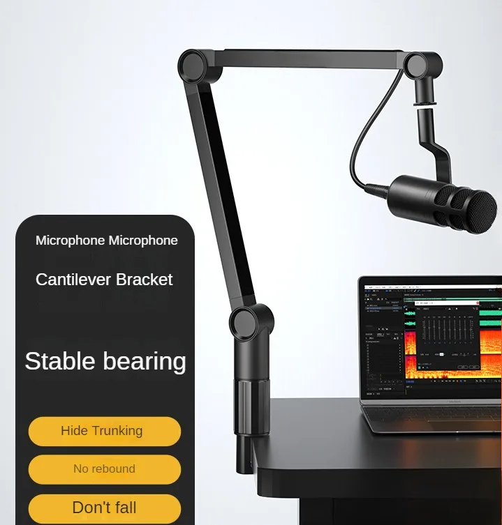 Microphone cantilever bracket professional condenser microphone hanging desktop live singing recording shockproof
Microphone cantilever bracket professional condenser microphone hanging desktop live singing recording shockproof