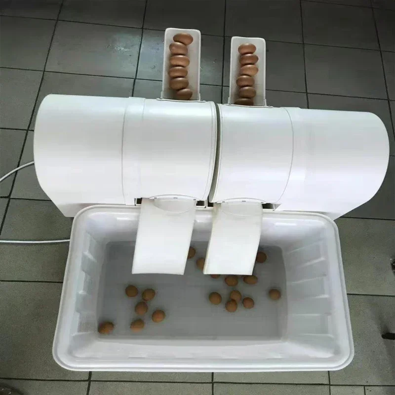 Household 220v Double Port Commercial Fully Automatic Egg Washing Machine Small Egg Washing Machine Chicken Duck Goose Egg Washi
Household 220v Double Port Commercial Fully Automatic Egg Washing Machine Small Egg Washing Machine Chicken Duck Goose Egg Washi