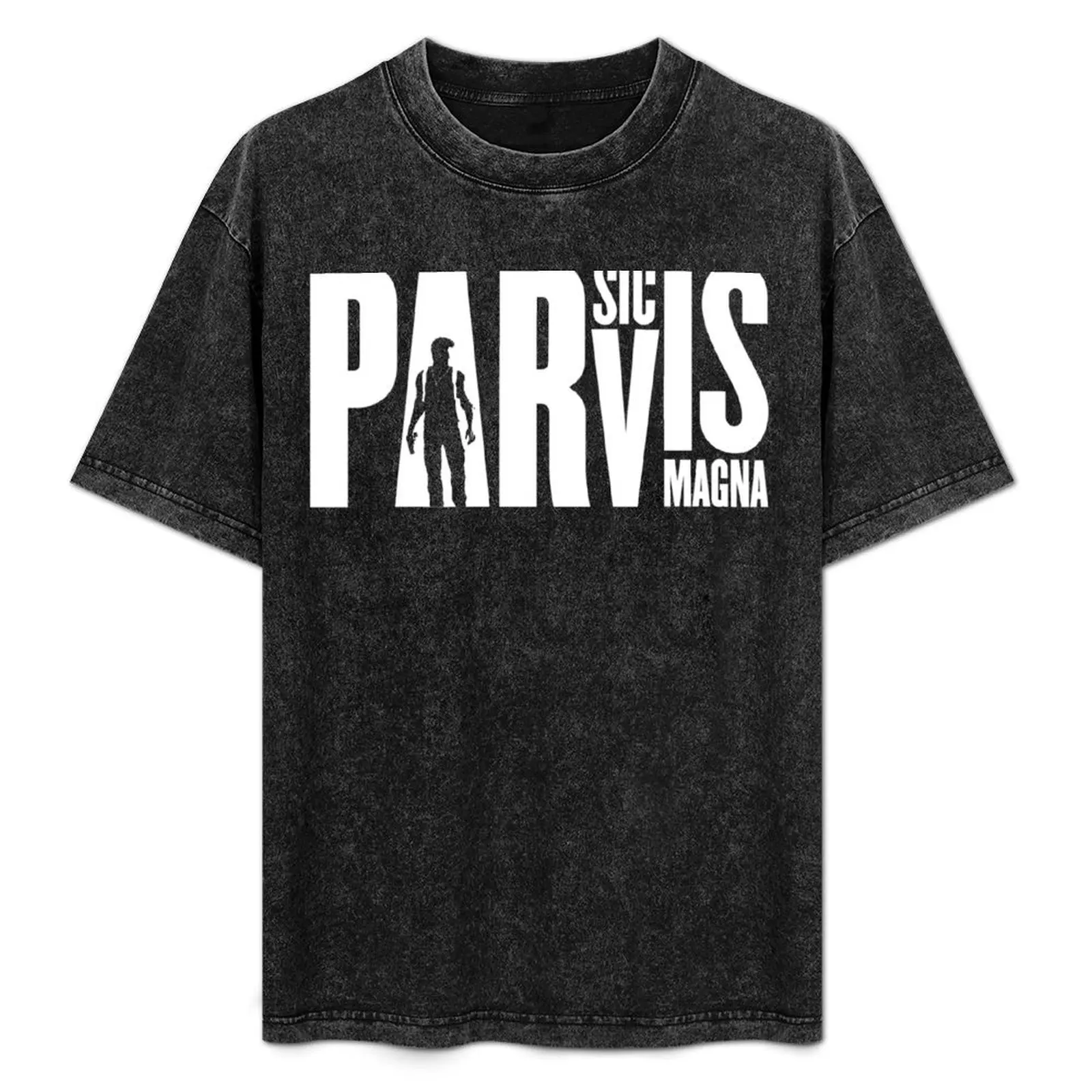 Sic Parvis Magna - Greatness From Small Beginnings | Nathan Drake Uncharted Game Quote T-Shirt Abstract Pattern Print Top
Sic Parvis Magna - Greatness From Small Beginnings | Nathan Drake Uncharted Game Quote T-Shirt Abstract Pattern Print Top