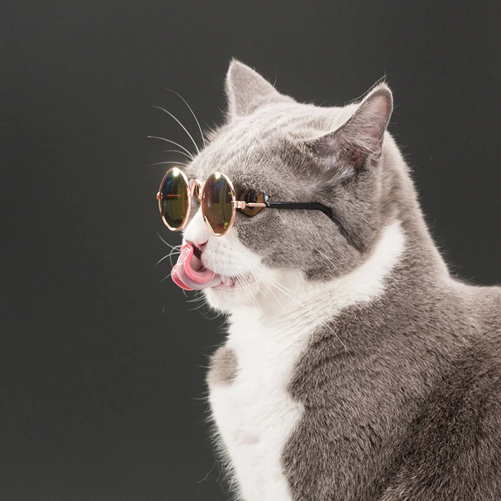 Premium Fashion Pet Dog Cat Sunglasses Polarized Lightweight Eyewear Accessories Outdoor Eyeglasses Unisex Design Gear
Premium Fashion Pet Dog Cat Sunglasses Polarized Lightweight Eyewear Accessories Outdoor Eyeglasses Unisex Design Gear