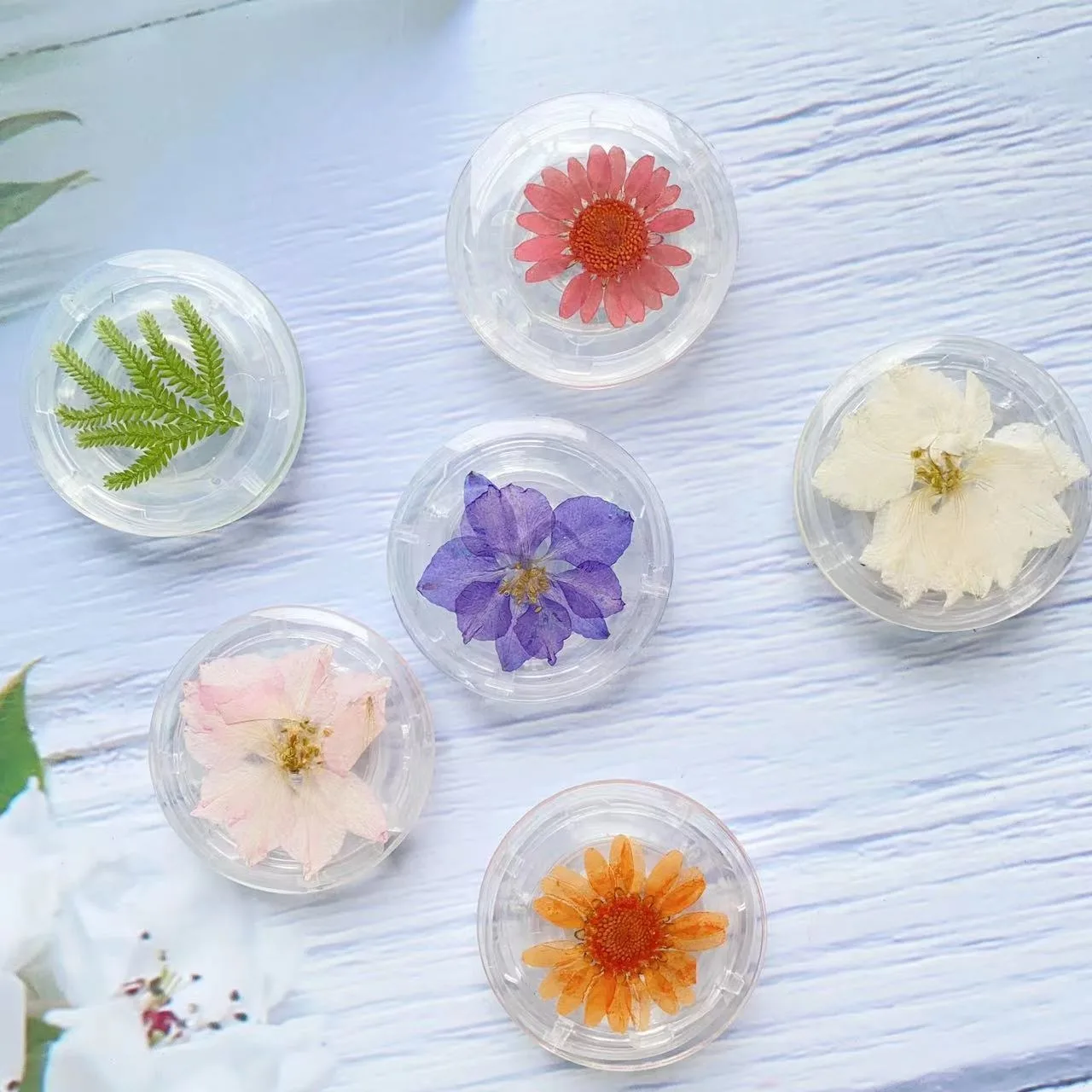 Clear Resin Dried Pressed Flower Phone Stand, Foldable Air Cushion Phone Grip, Real Flower Desktop Phone Holder for Smartphones
Clear Resin Dried Pressed Flower Phone Stand, Foldable Air Cushion Phone Grip, Real Flower Desktop Phone Holder for Smartphones
