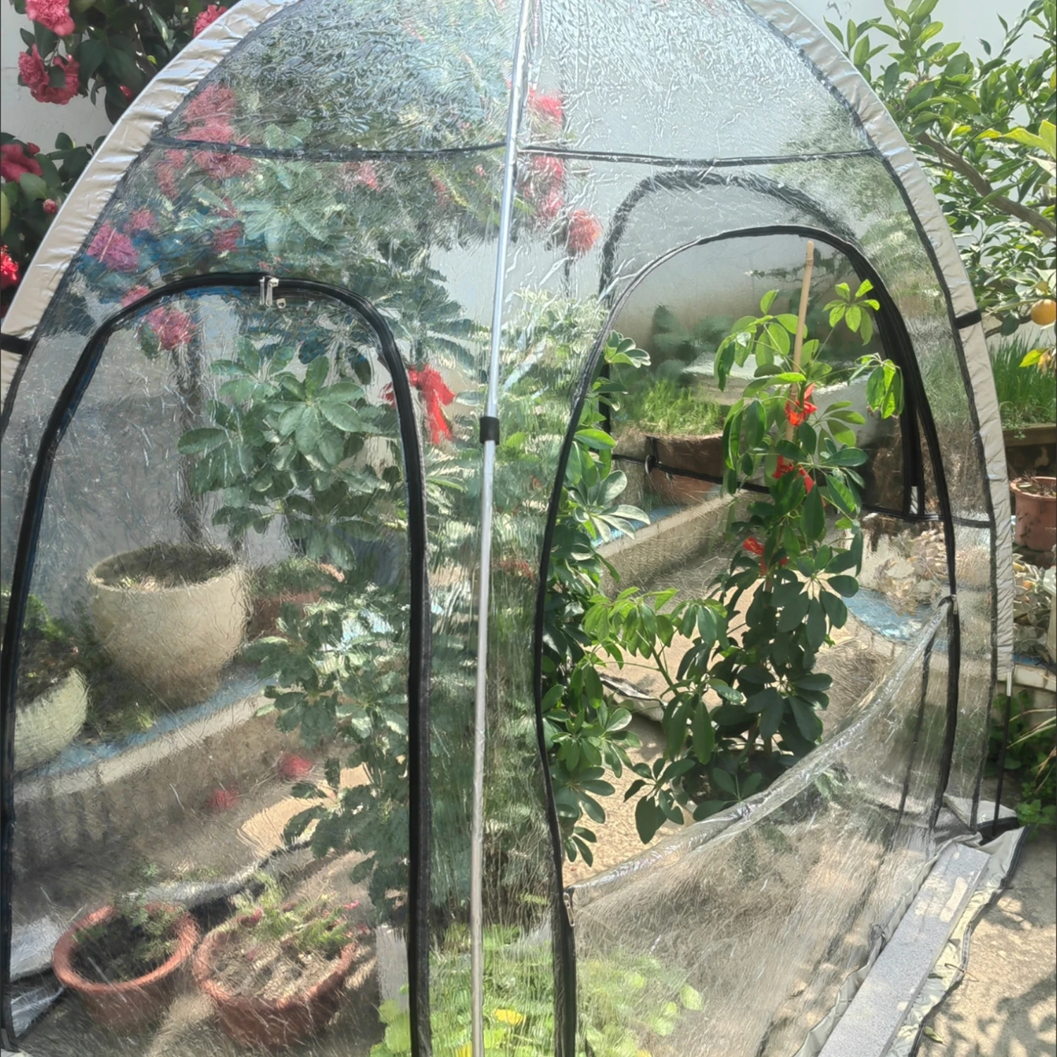 Greenhouse Tent,Portable Plant House,Gardening Plant Sunshine Room with PVC Cover for Protecting Plant From Cold Frost & Birds
Greenhouse Tent,Portable Plant House,Gardening Plant Sunshine Room with PVC Cover for Protecting Plant From Cold Frost & Birds