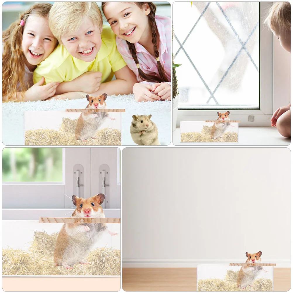 2Pcs Acrylic Hamster Bathtub Transparent Bath Container Small Household Chinchilla Pet Accessories Easy Clean Safe Play
2Pcs Acrylic Hamster Bathtub Transparent Bath Container Small Household Chinchilla Pet Accessories Easy Clean Safe Play